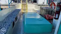 Cruise ship for sale