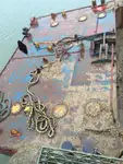 Barge for sale
