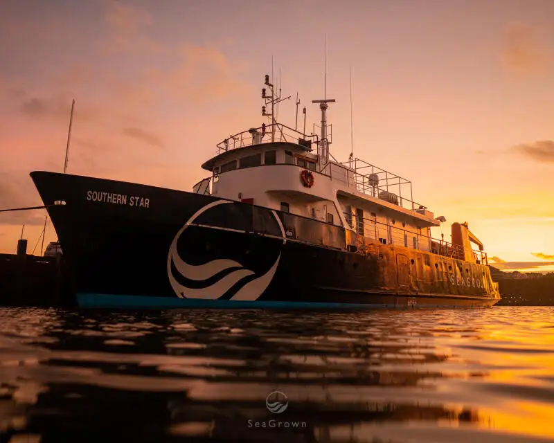 Survey vessel for sale