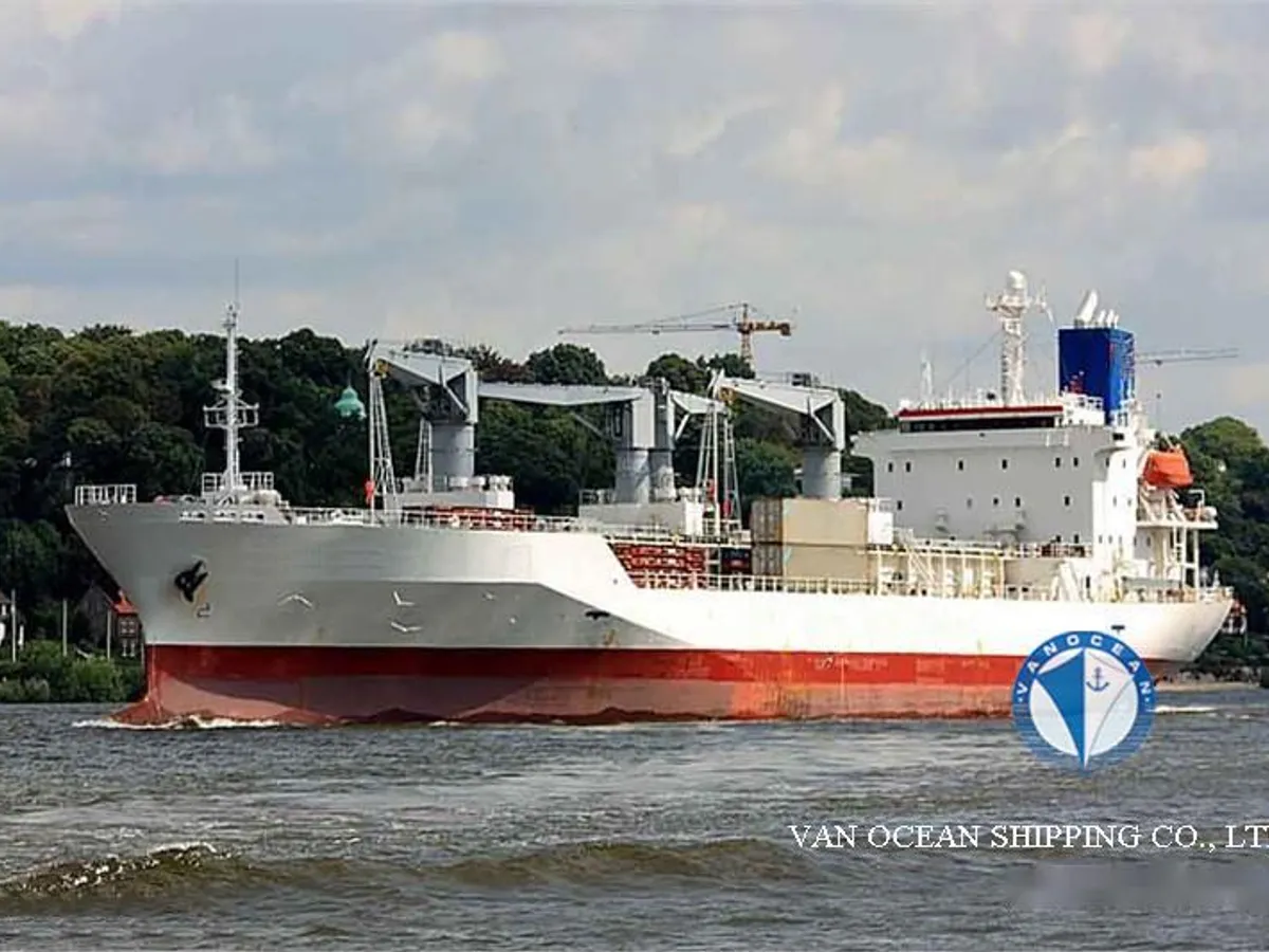 Reefer ship for sale