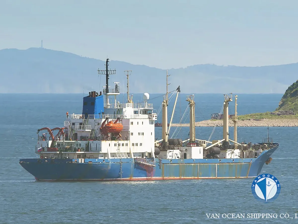 Reefer ship for sale