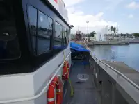Catamaran for sale