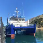 Catamaran for sale