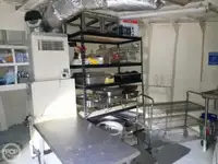 Cruise ship for sale