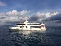 Cruise ship for sale