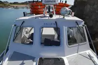Cruise ship for sale