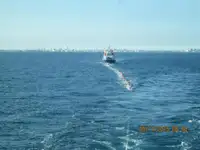 Bulk carrier for sale