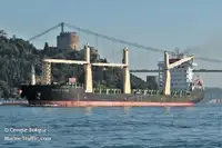 Reefer ship for sale