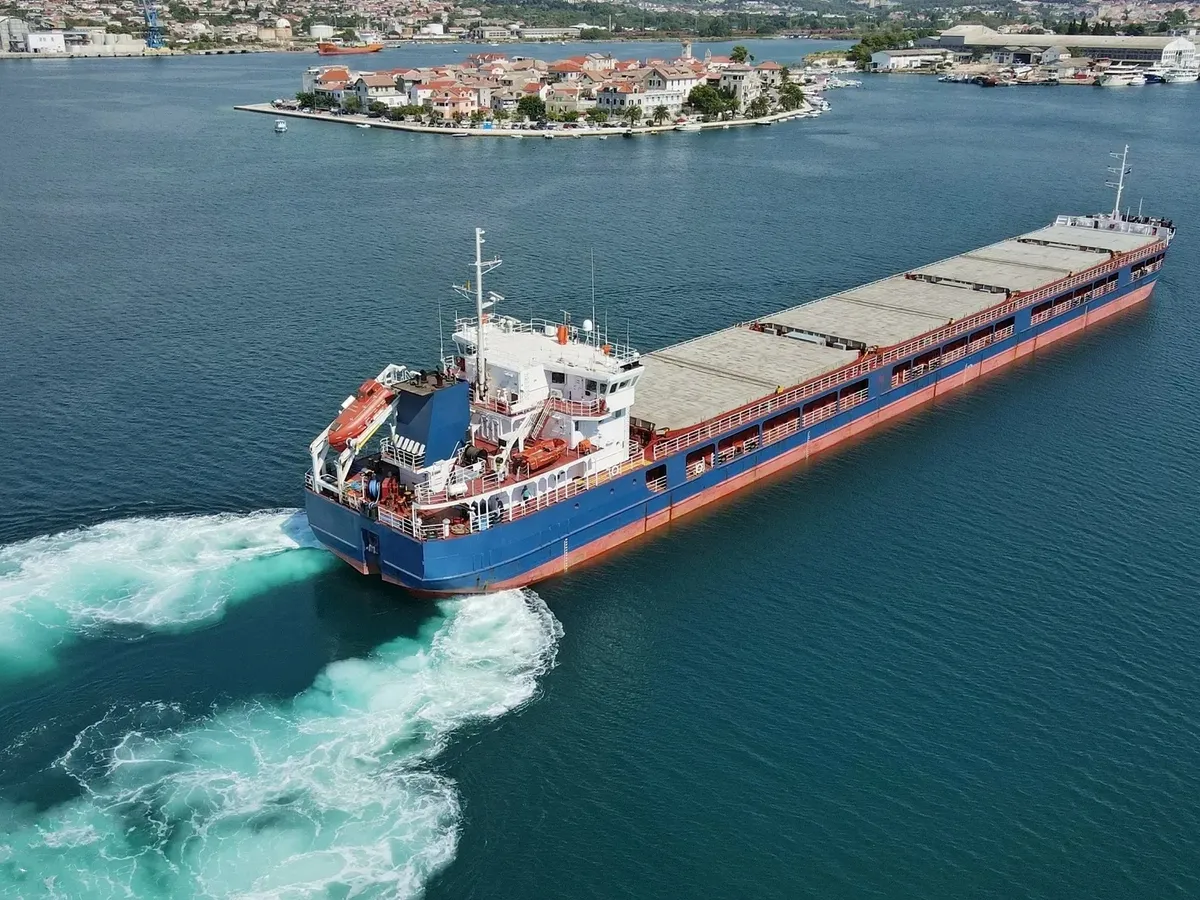 General Cargo/Multi-purpose for sale