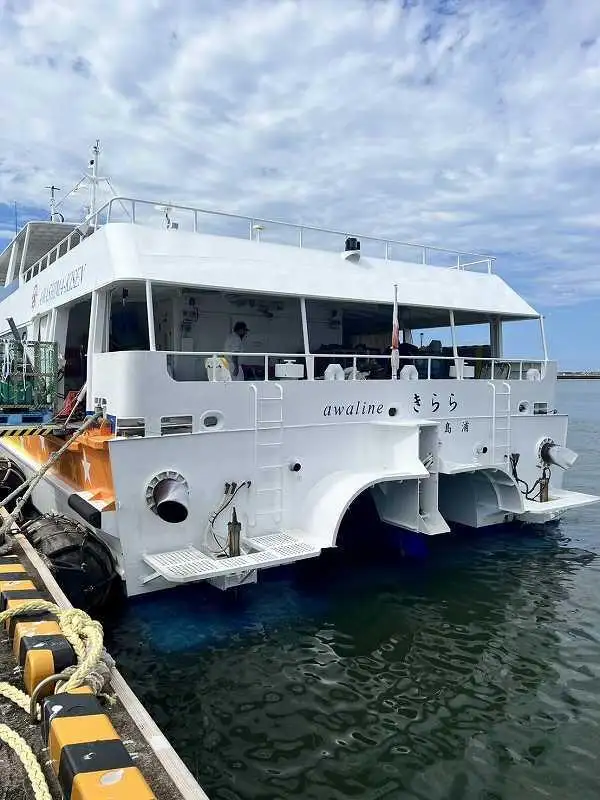 Catamaran for sale