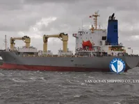 Reefer ship for sale