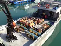 Workboats for sale