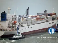 Reefer ship for sale