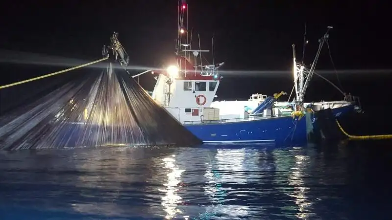 Trawler for sale