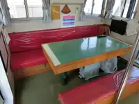 Cruise ship for sale