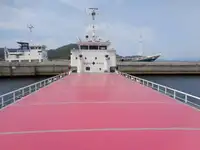 Bulk carrier for sale