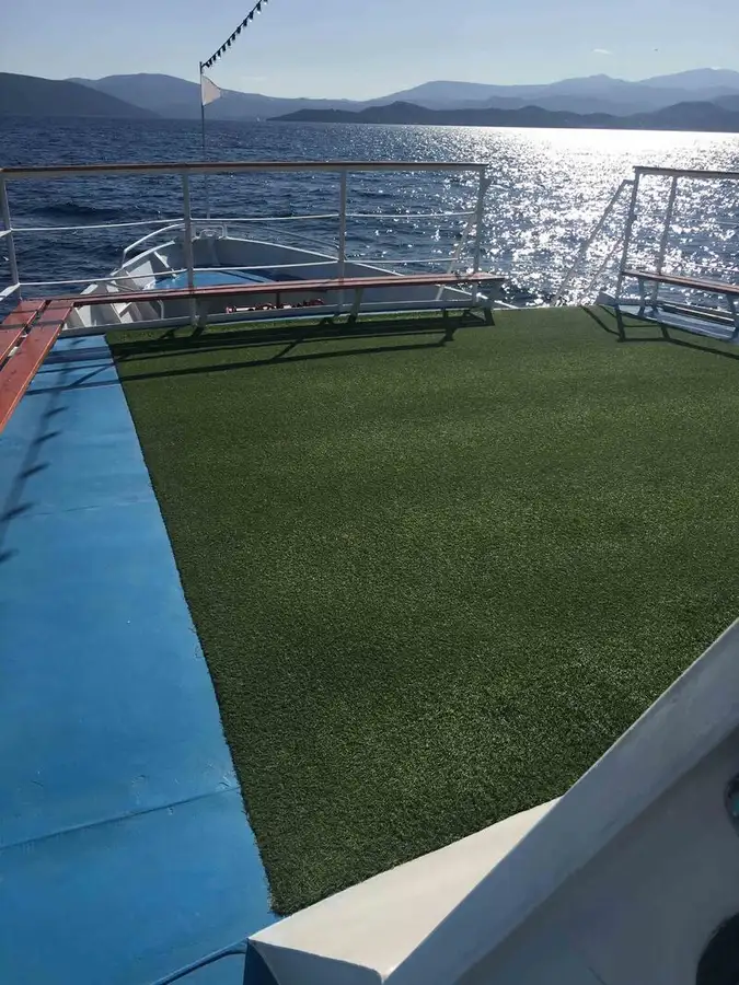 Cruise ship for sale
