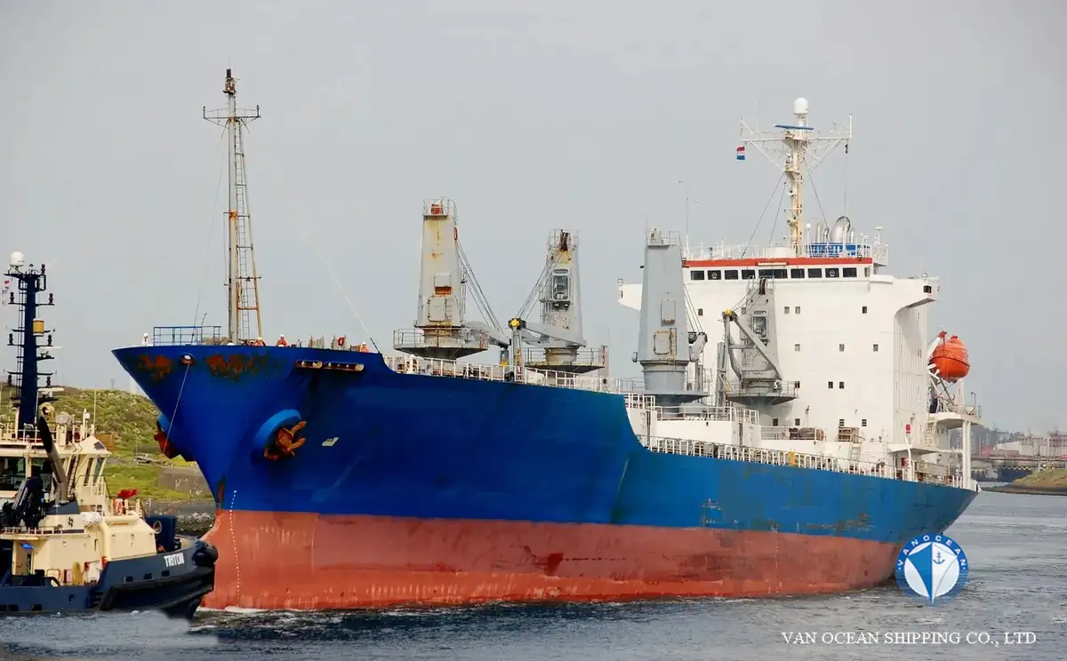 Reefer ship for sale