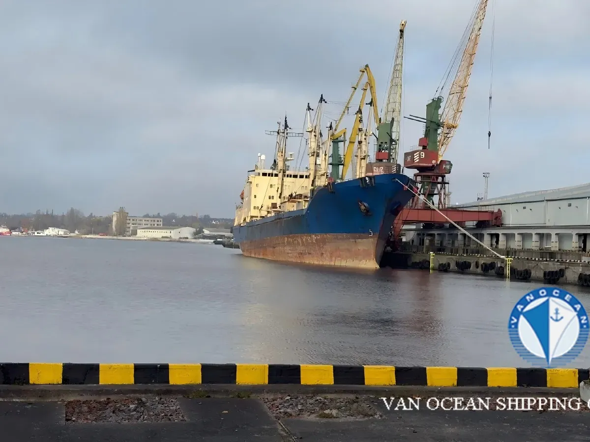 Reefer ship for sale