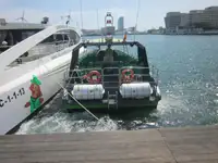 Cruise ship for sale