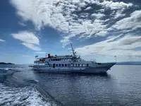 Cruise ship for sale