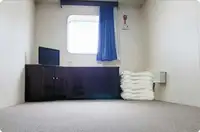 Reefer ship for sale