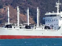 Reefer ship for sale