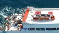 Cruise ship for sale