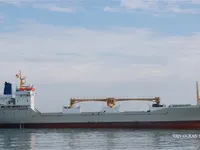Reefer ship for sale