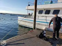 Ferry vessel for sale