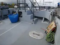 Catamaran for sale