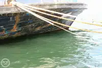 Ferry vessel for sale
