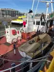 Bulk carrier for sale