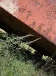 Barge for sale