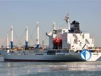 Reefer ship for sale