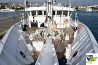 Cruise ship for sale