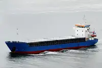 Bulk carrier for sale