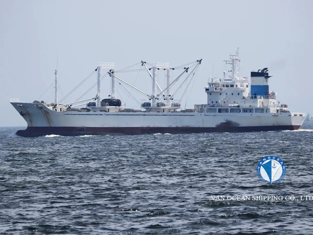 Reefer ship for sale