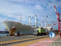 Reefer ship for sale