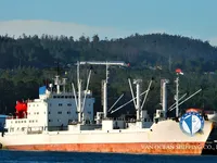 Reefer ship for sale
