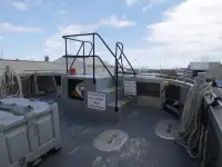 Catamaran for sale