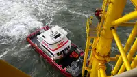 Catamaran for sale