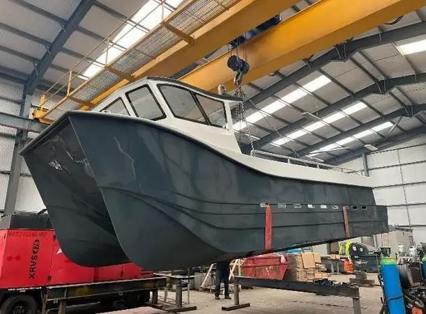 Catamaran for sale