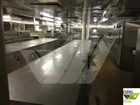 Cruise ship for sale