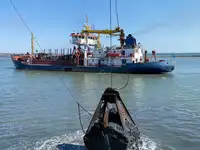 Dredger for sale