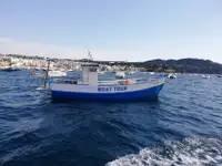 Trawler for sale