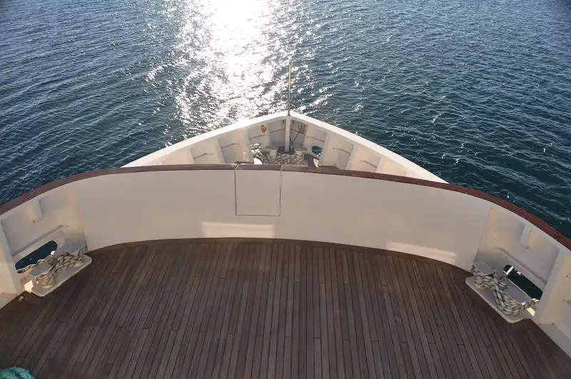 Cruise ship for sale