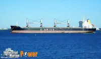 Bulk carrier for sale
