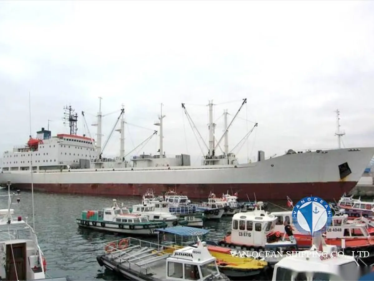 Reefer ship for sale