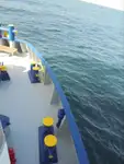 Reefer ship for sale